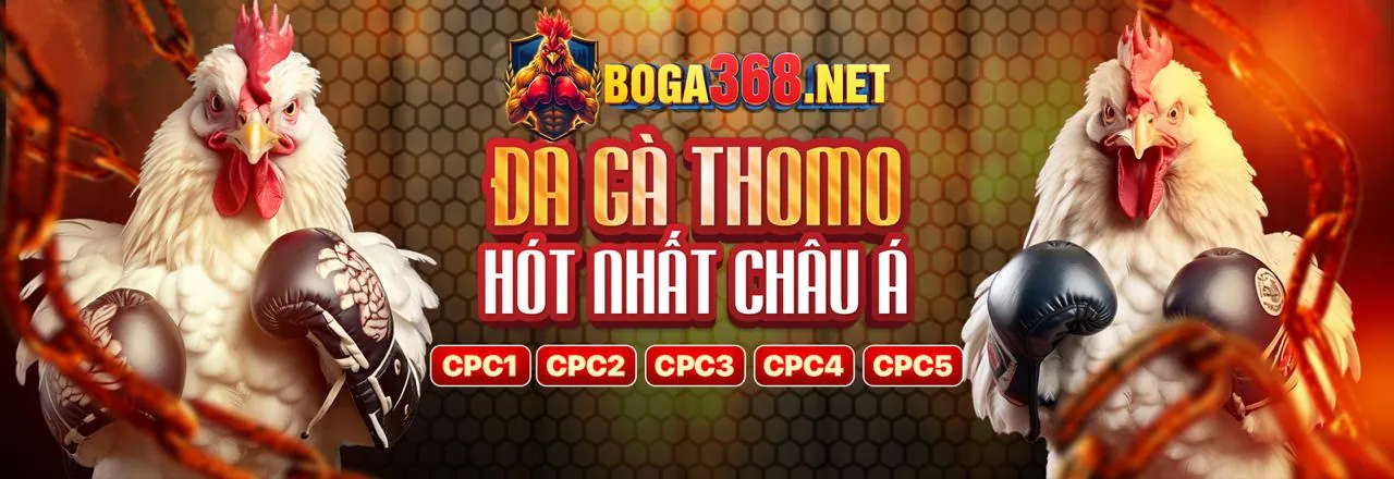 Ưu đãi chào mừng thành viên mới kubet11.net